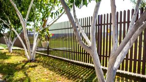 Ce pățesc proprietarii de case care încalcă linia de hotar. Ce distanță trebuie respectată