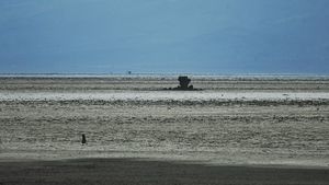 Lacul care transformă păsările în stană de piatră. De ce apa ia viața unor animale