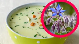 Rețetă ciorbă de primăvară cu „limba mielului” | Ciorba care face perfect tranziția spre sezonul cald