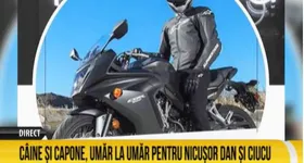 Galerie foto - poza 4