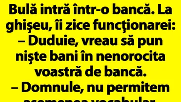 BANC | Bulă intră într-o bancă: Duduie, vreau să pun niște bani în nenorocita voastră de bancă