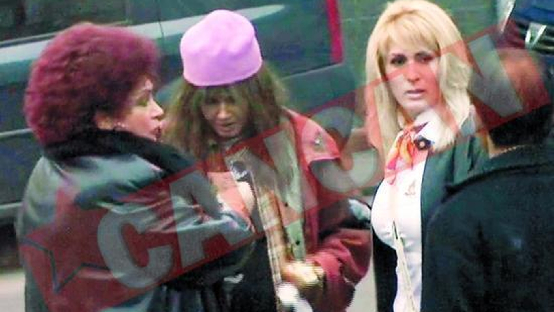 Elena Merisoreanu a lovit o cersetoare cu poseta