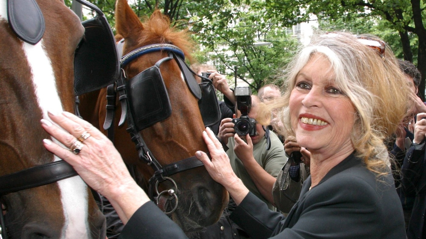 Anunțul momentului despre Brigitte Bardot! Ce se întâmplă cu actrița, după ce a fost diagnosticată cu o boală gravă