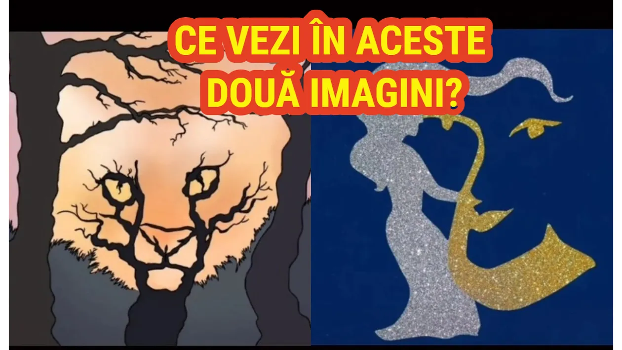 Iluzia optică înnebunitoare care îţi spune dacă eşti deschis la minte sau nu. Ce ţi-a apărut prima dată în minte când te-ai uitat la această poză?