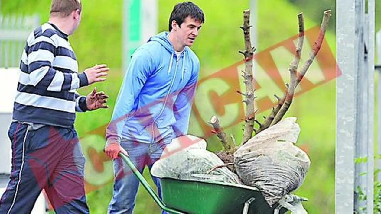 Castiga 100.000 de euro pe saptamana, dar matura strazile cu puscariasii