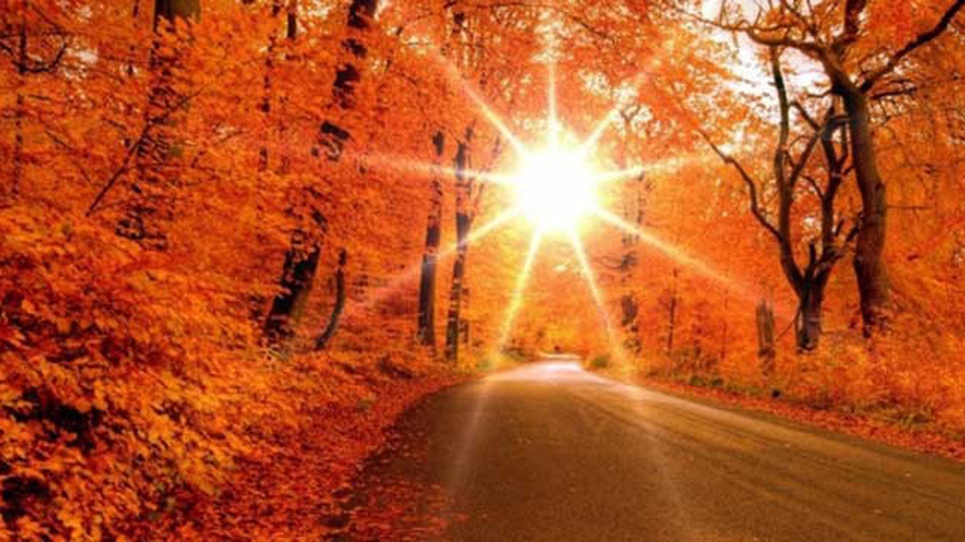 Prognoza METEO pentru 13 noiembrie! Anuntul facut de meteorologi!