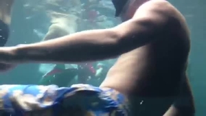 Cel mai bogat fotbalist roman a fost vanat de un rechin urias! Vezi cum era sa il sfasie bestia oceanului!