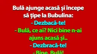 BANC | Bulă ajunge acasă și începe să țipe la Bubulina
