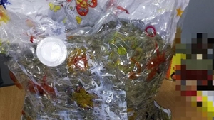 Trei kilograme de cannabis, descoperite într-un colet, în Făgăraș                                                                        