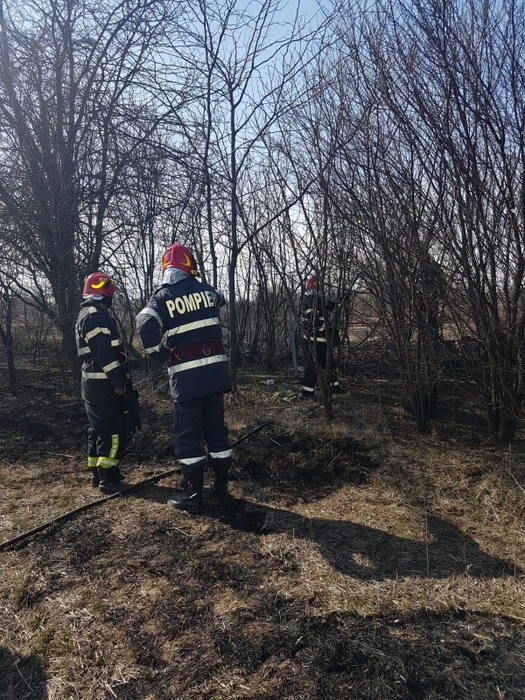 Un incendiu de vegetație a scăpat de sub control în Giurgiu