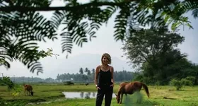 Galerie foto - poza 3