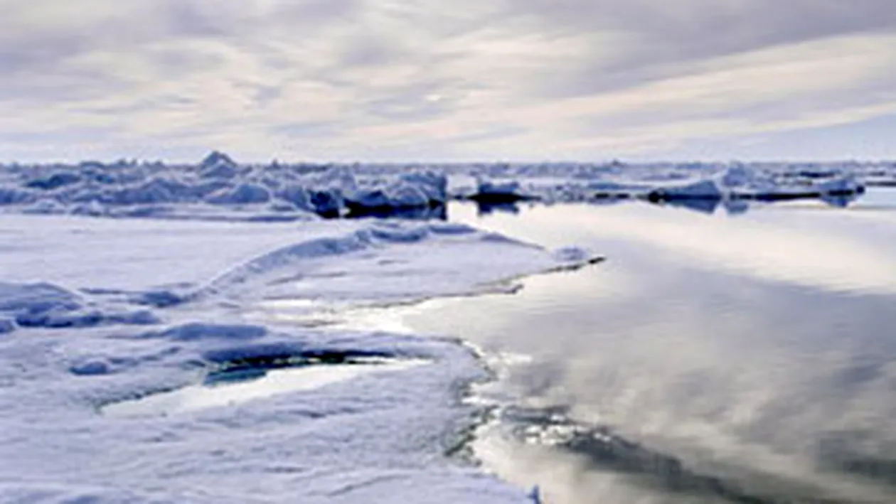Tineti-va bine! Scoarta terestra este in miscare continua si se va muta la Nord!