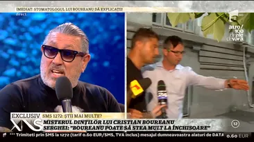 Serghei Mizil a explicat de ce Boureanu ar putea sta mult timp la închisoare!