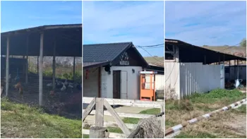 Localitatea din România în care poți cumpăra o fermă de 4000 m² cu 50.000 de euro. E la doar o oră de București