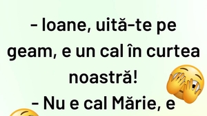 BANCUL ZILEI | "Ioane, e un cal în curtea noastră"