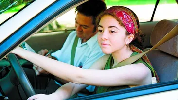 Cum devii sofer cu acte in regula