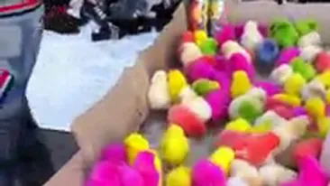 Nici in felicitarile de Paste nu ai vazut asemenea pui colorati! Uite ce imagini a surprins milionarul Dan Nicorescu in vacanta!