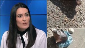 O stradă din Sectorul 1, "invadată" de viermi. Primarul Clotilde Armand, desființată de Dana Budeanu