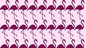 TEST IQ | Găsiți care pasăre flamingo este diferită de toate celelalte