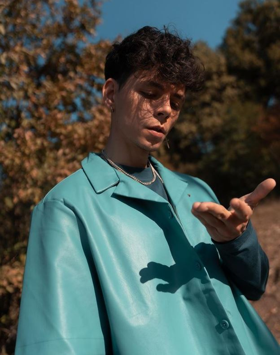Emilian, un artist îndrăgit (SURSA FOTO: INSTAGRAM)