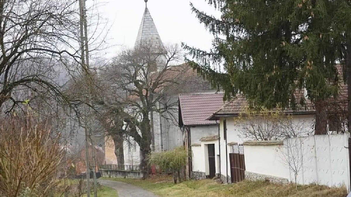 Comuna din România în care locuiesc cei mai mulți profesori universitari. În ce județ se află și care este „secretul”