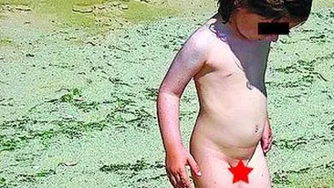 Pozele erau pe alte site-uri