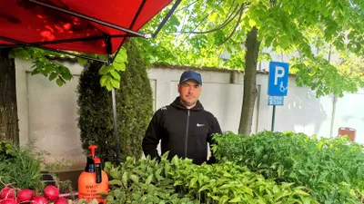 Agricultură în România după 9 ani de experiență în Anglia. „Găseau ce să facă cu căpșuna: șampoane, săpunuri, o exportau”