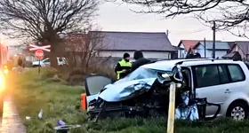 Galerie foto - poza 4