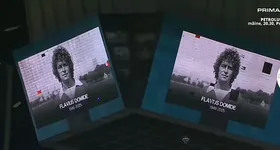 Galerie foto - poza 3