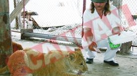 Si-a facut gradina zoologica acasa