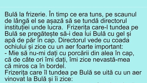 BANC | Bulă, directorul și frizerița
