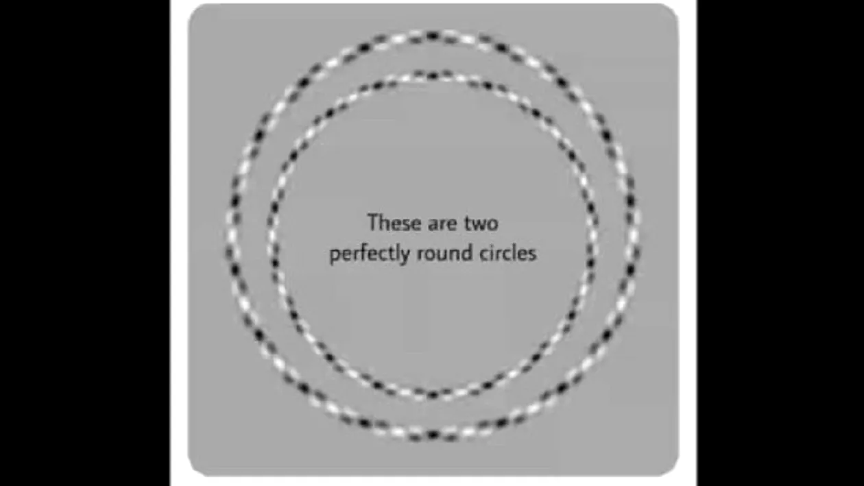 Iluzia optică ce îţi testează IQ-ul. Câte cercuri vezi în această imagine?