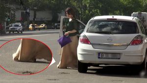 Oana Sarbu, neagra de suparare! Si-a calcat fusta in picioare si nici nu si-a dat seama!