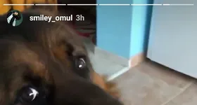 Galerie foto - poza 2