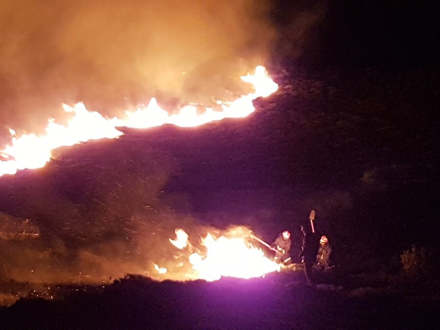 Ipoteză cutremurătoare în cazul incendiilor din Grecia. Există indicii că focul a fost pus intenționat