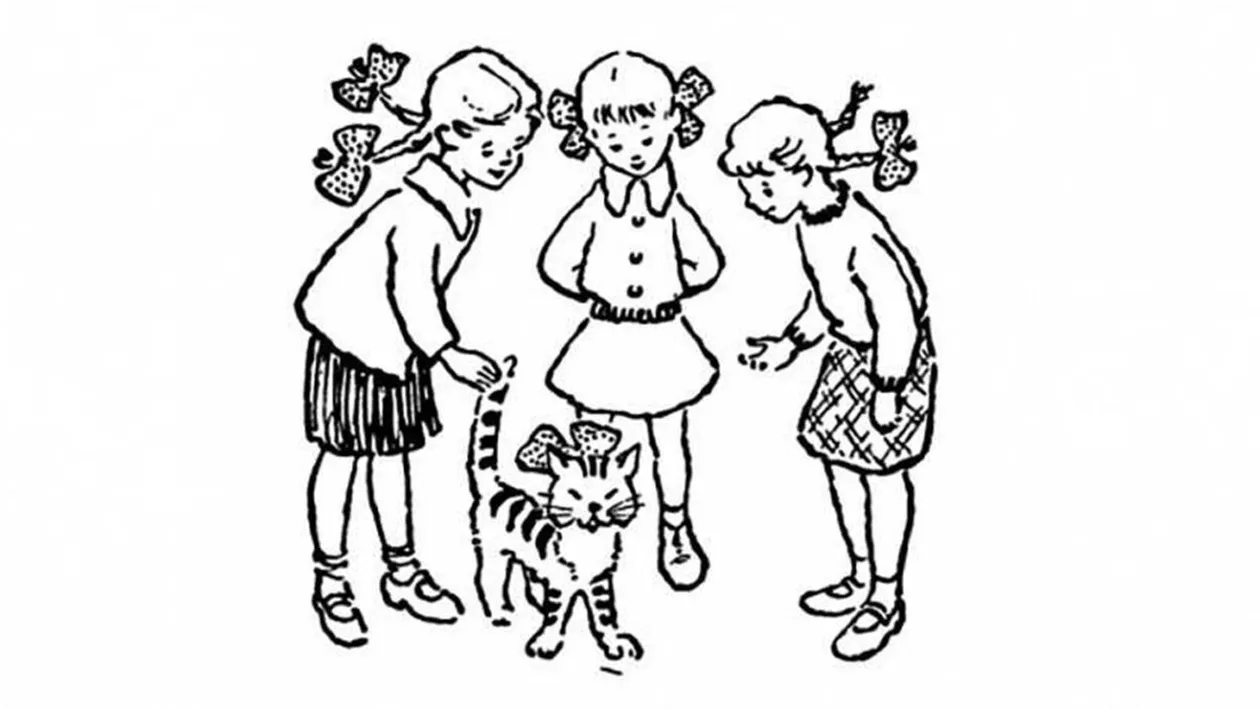 Test IQ exclusiv pentru genii | Care dintre cele 3 fete este stăpâna pisicii?