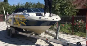 Galerie foto - poza 2