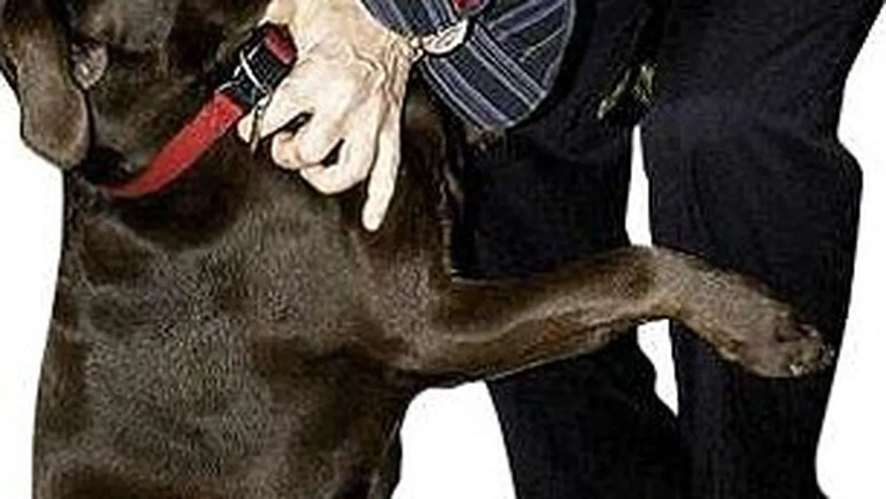 Cadou de impacare? Romanul care i-a furat-o pe Lady Pamela Marchizului de Northampton i-a luat sotiei loc de veci in Cipru!