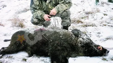 Fostul boxer e vanator de 15 ani! Vastag asteapta mistretii in bataia pustii