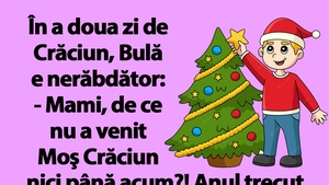 BANC | De ce nu a venit Moș Crăciun la Bulă