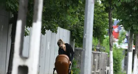 Galerie foto - poza 3