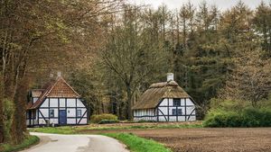 Ce a găsit un imigrant într-o casă pe care a plătit 3.550 de euro în Germania: „A fost unul dintre cele mai fericite momente..”