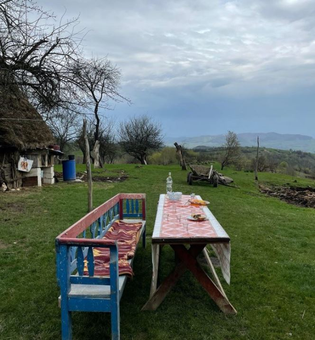 Cum arată casa Laurei Cosoi din Maramureș. Aici și-a botezat fetițele