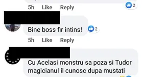 Galerie foto - poza 2