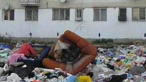 Cartierul Ferentari, unul dintre cele urate locuri de vizitat din lume! Ce se va intampla in curand in aceasta zona