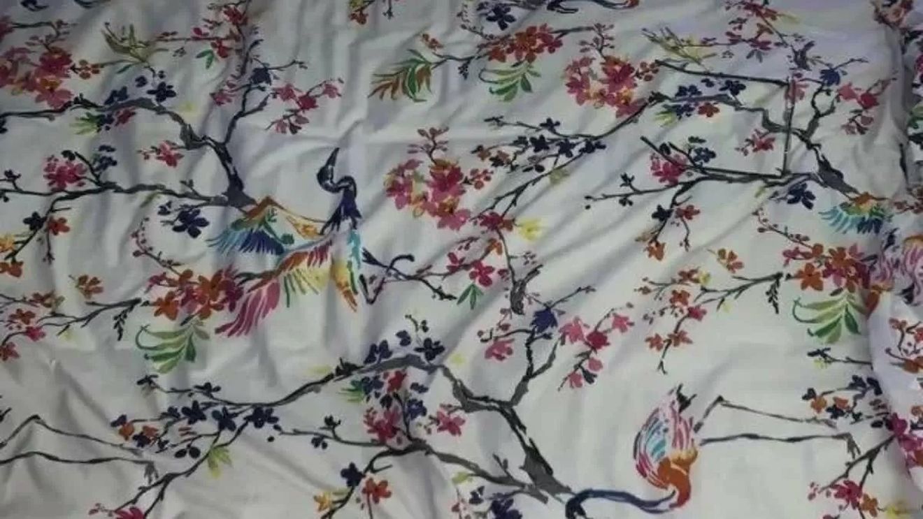 Iluzie optică virală | Găsiți ochelarii pierduți în această fotografie!