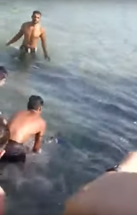 Scene revoltătoare pe o plajă cunoscută din Grecia. Mai mulți turişti au fost filmaţi în timp ce omorau un peşte-spadă cu pietre