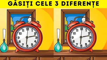 Test de perspicacitate | 3 diferențe în doar 20 de secunde. Numai geniile le găsesc!