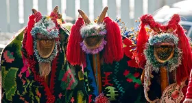 Galerie foto - poza 2