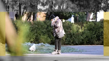 Evacuată din imobilul de lux, “Regina vinurilor” și-a găsit un aliat: “Bubico” îi păzește non-stop spatele!